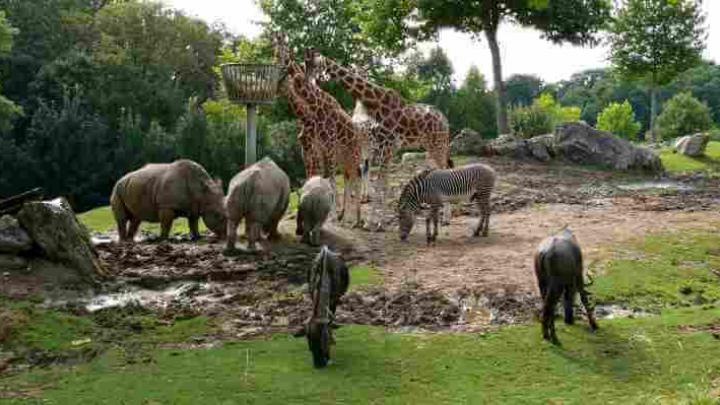 København Zoo